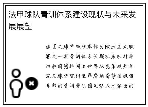 法甲球队青训体系建设现状与未来发展展望